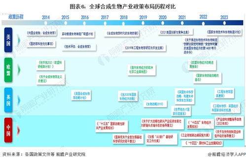 2024年中國合成生物產業全景圖譜 規模躍升、區域集聚與技術突破